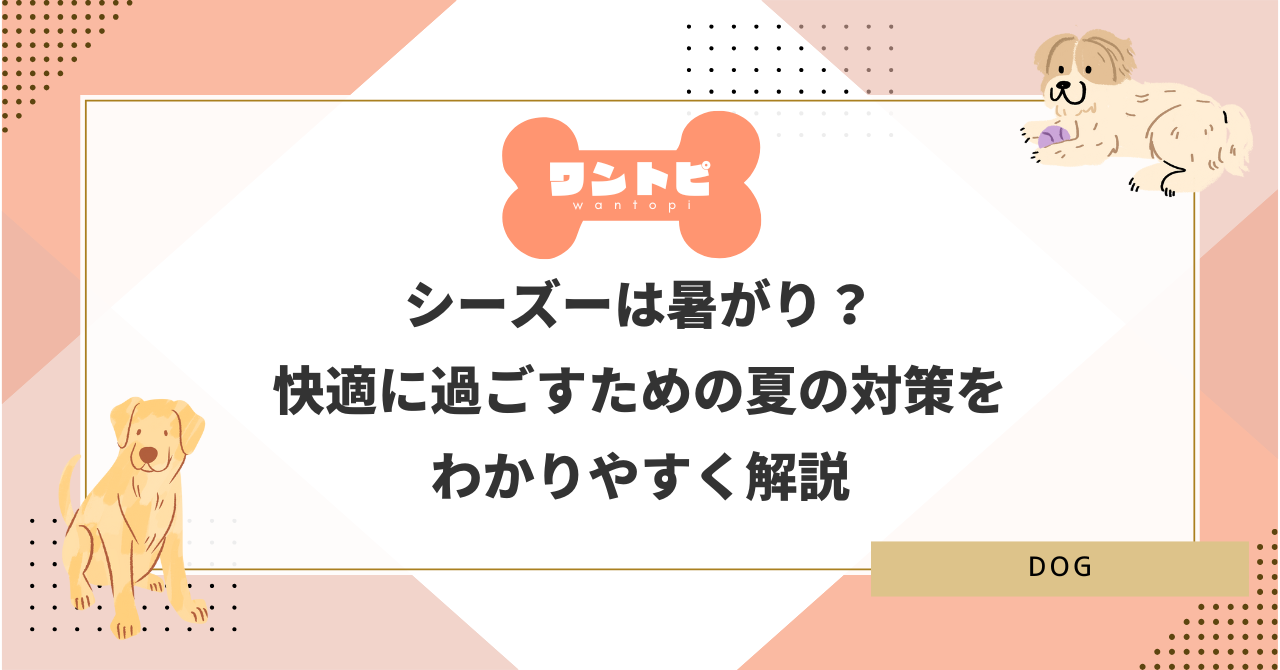 シーズーは暑がり？快適に過ごすための夏の対策をわかりやすく解説